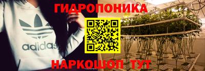 сатива Кунгур