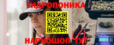 сатива Кунгур