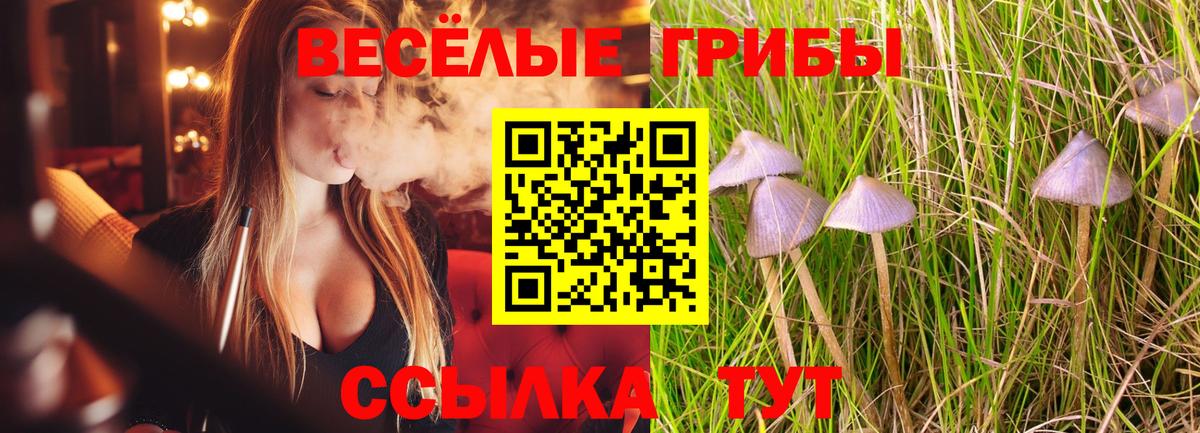Псилоцибиновые грибы ЛСД  Вход с VPN  Галлюциногенные грибы Cubensis  Шатура 