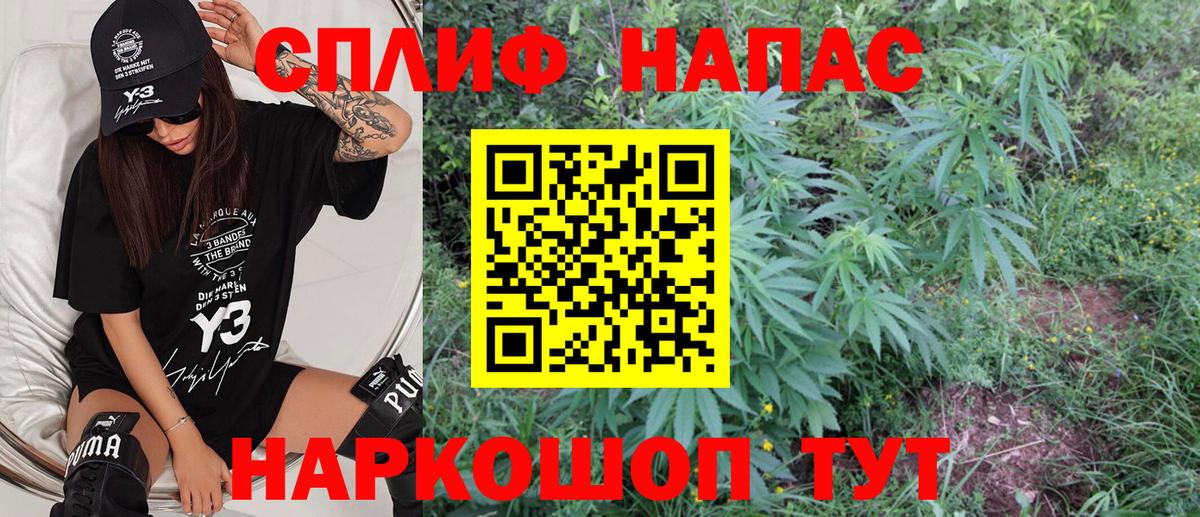Канабис SATIVA & INDICA Шатура